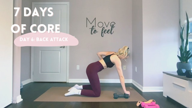 7 Days of Core- Day 6: 20 Minute Back Attack
