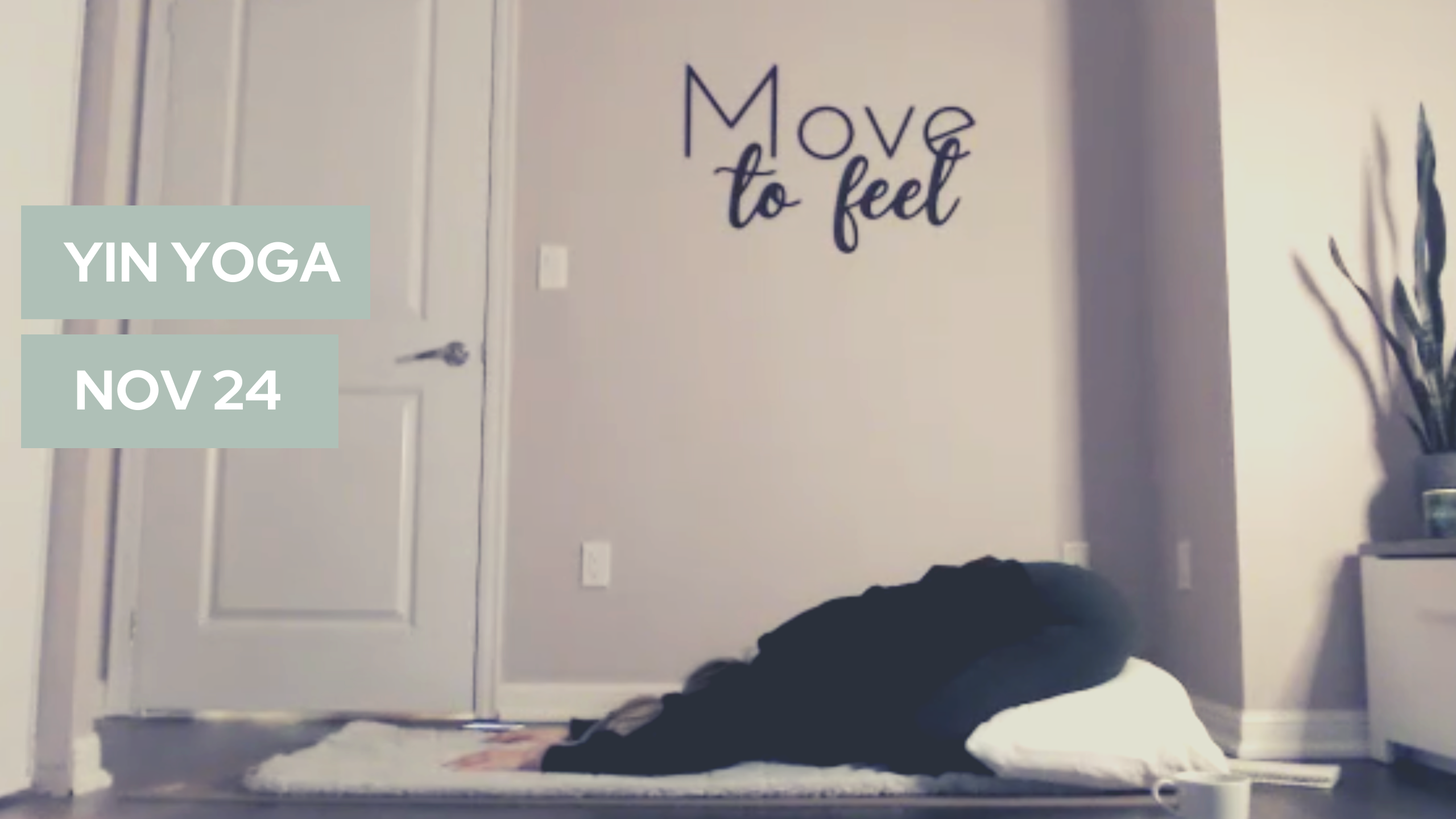 Yin Yoga (LIVE-30) -November 24th 2021