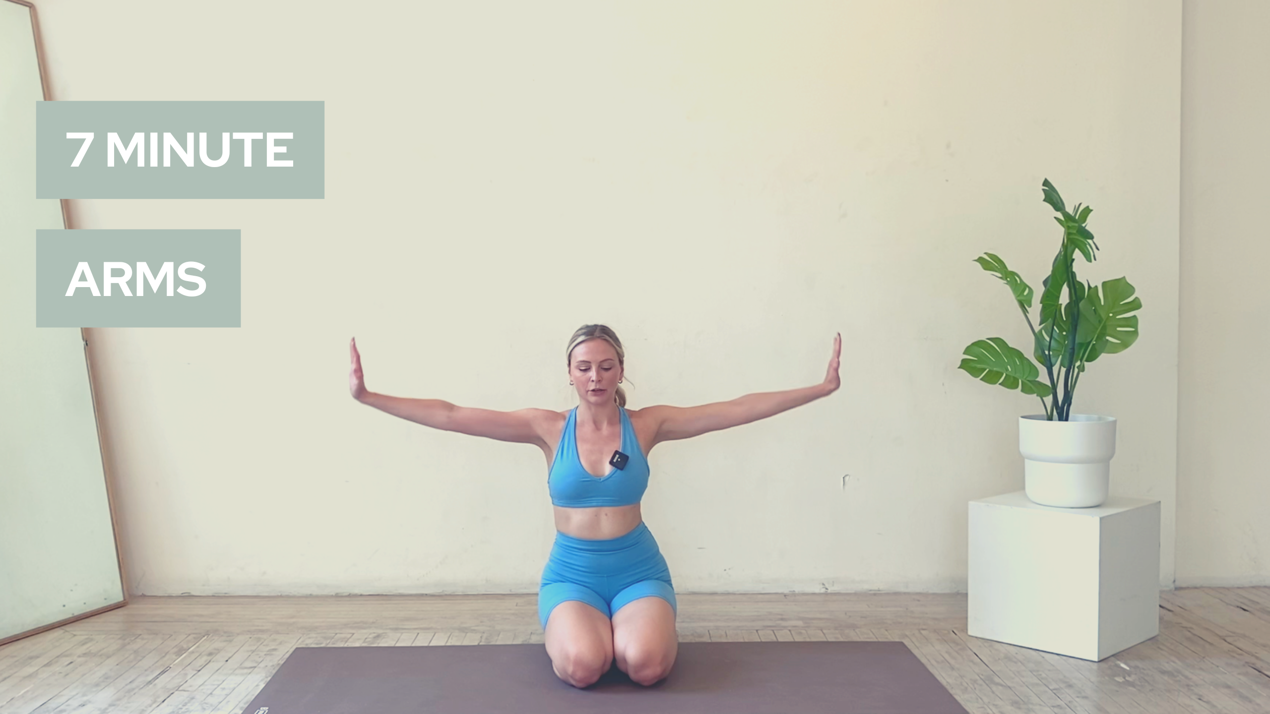 7 Minute No Equipment Arms