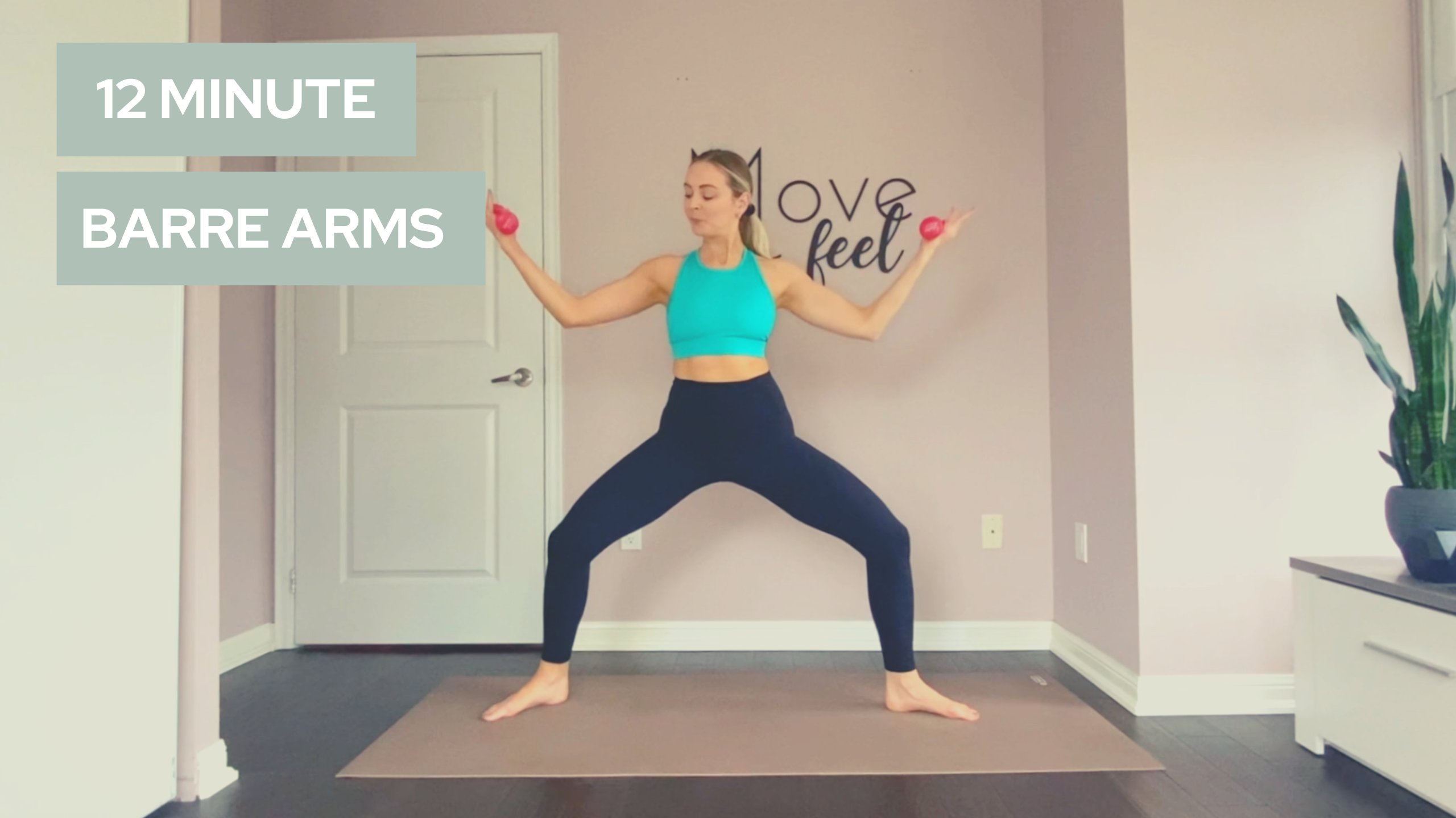 ABBA- 12 Minute Quickie Barre Arms