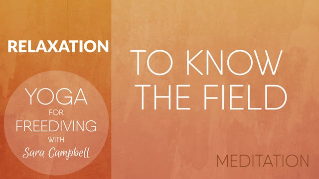 RELAX 6. Meditation: To Know the Field