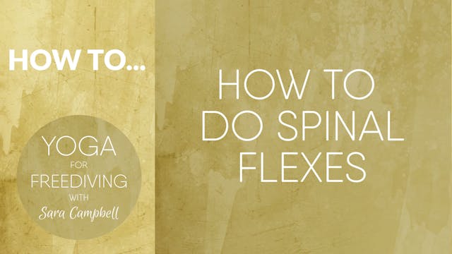 How to do Spinal Flexes