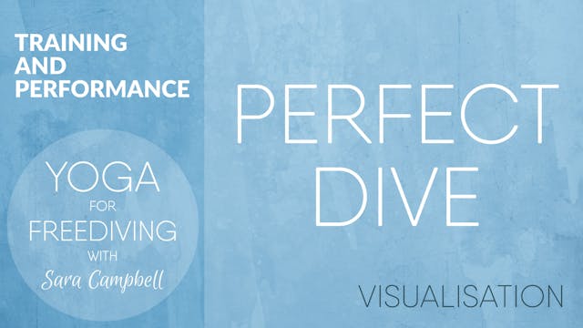 Training and Performance 6: Visualisation - Perfect Dive