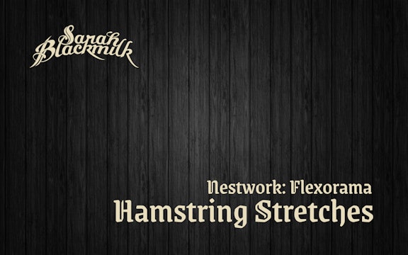 1.2.1 Hamstring Stretches