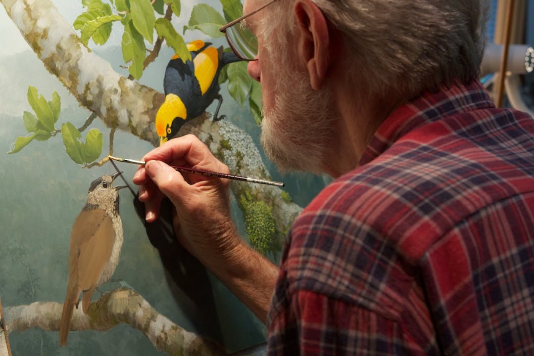 Birdman - The Art of William T. Cooper
