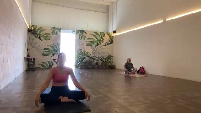 Vinyasa 12/11/24