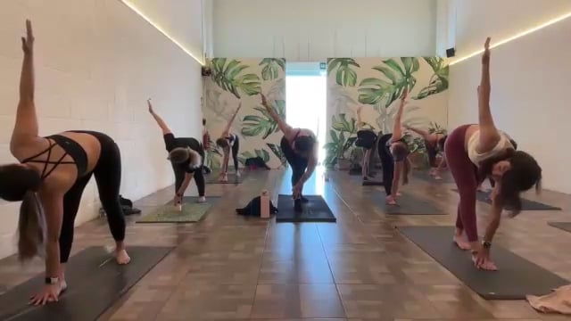 Vinyasa: Torsiones 04/02/25