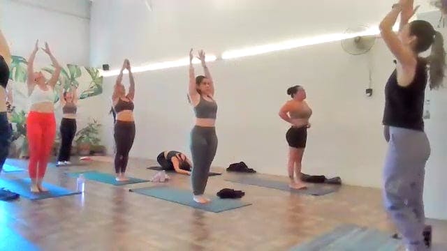 Vinyasa 02/06/25