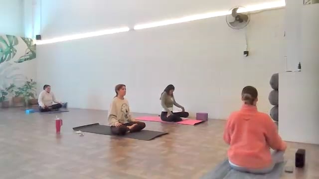 Soft Vinyasa 02/01/25