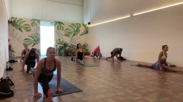 Vinyasa: Flexiones 08/04/25