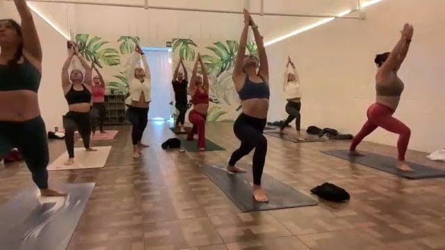Vinyasa: Equilibrio 18/nov/25
