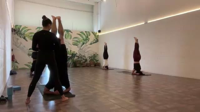 Vinyasa: Equilibrio 10/04/25