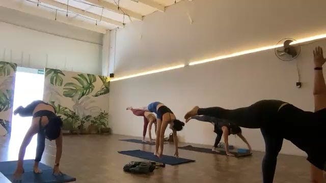 Vinyasa: Torsiones 12/12/24