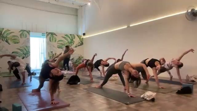 Vinyasa: Arcos 25/02/25