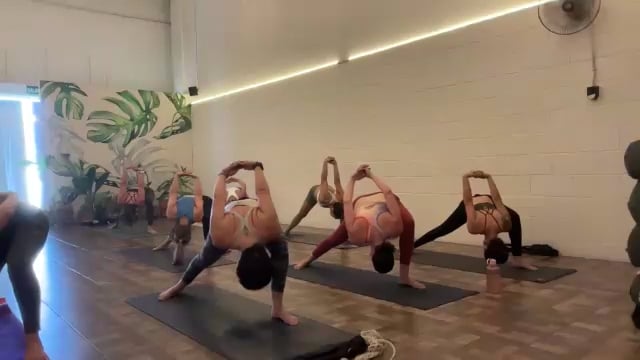 Vinyasa: Flexiones (Despedida Regina) 10/06/25