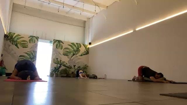 Yin Yoga 23/07/24