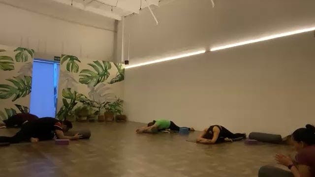 Yin 22/20/24