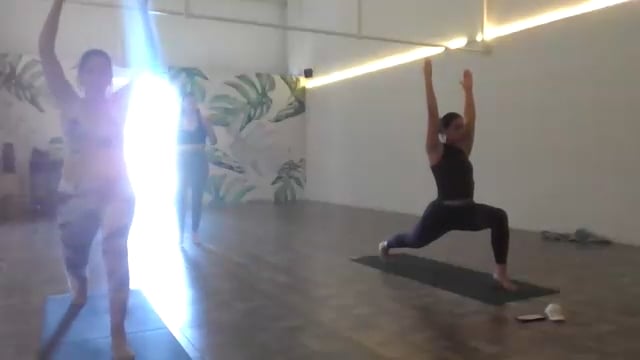 Vinyasa 12/02/26