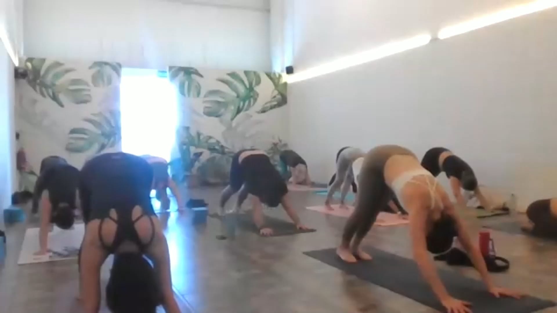 Vinyasa: flexiones 13/02/25