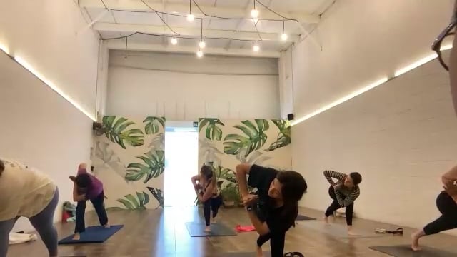 Vinyasa 07/01/25