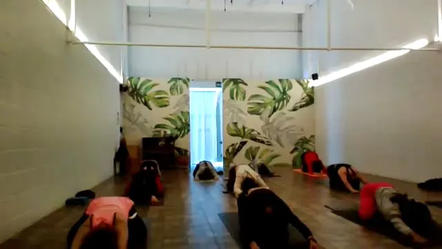 Vinyasa integral 14/feb/26