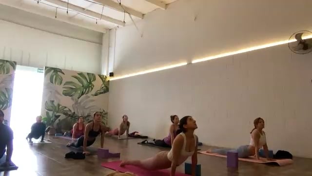 Vinyasa 25/01/25