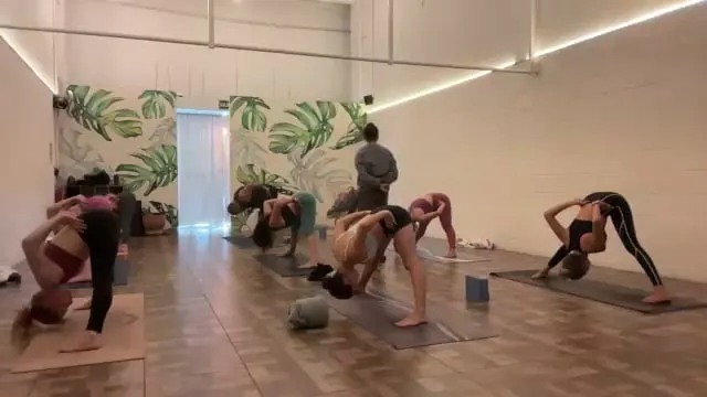 Vinyasa 09/junio26