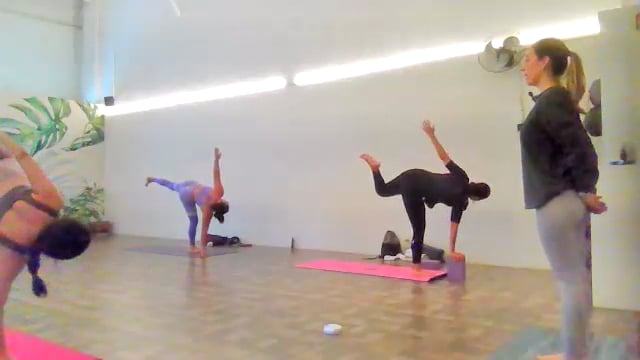 Vinyasa 13/12/24