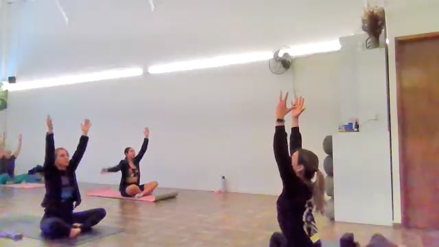 Vinyasa 13/11/24