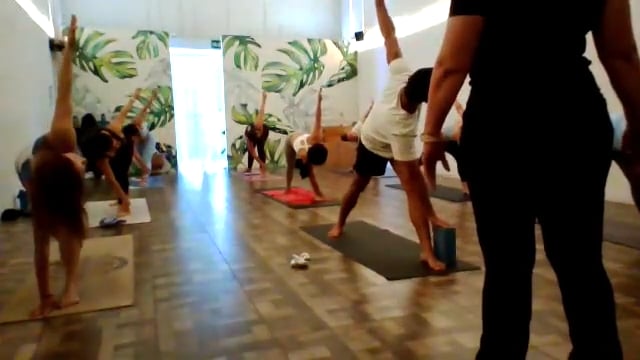 Vinyasa 11/abril/26