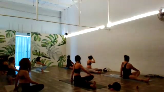 Vinyasa 21/feb/26