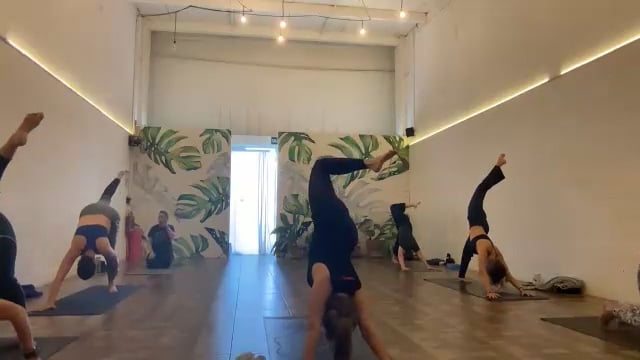 Vinyasa: Arcos 28/01/25