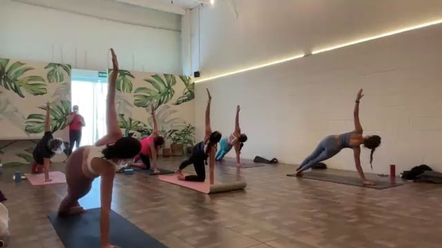 Vinyasa: Equilibrio 21/11/24
