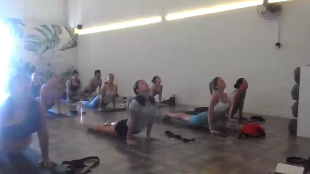Vinyasa: Arcos 03/06/25