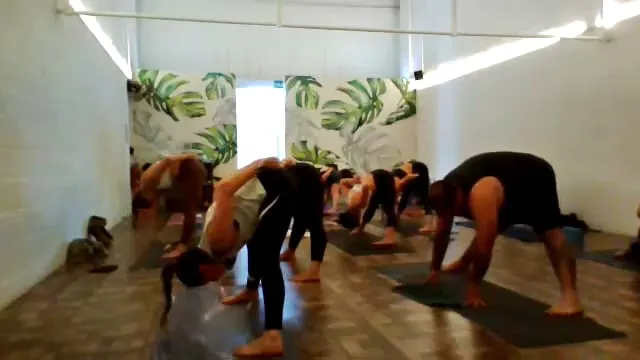 Vinyasa