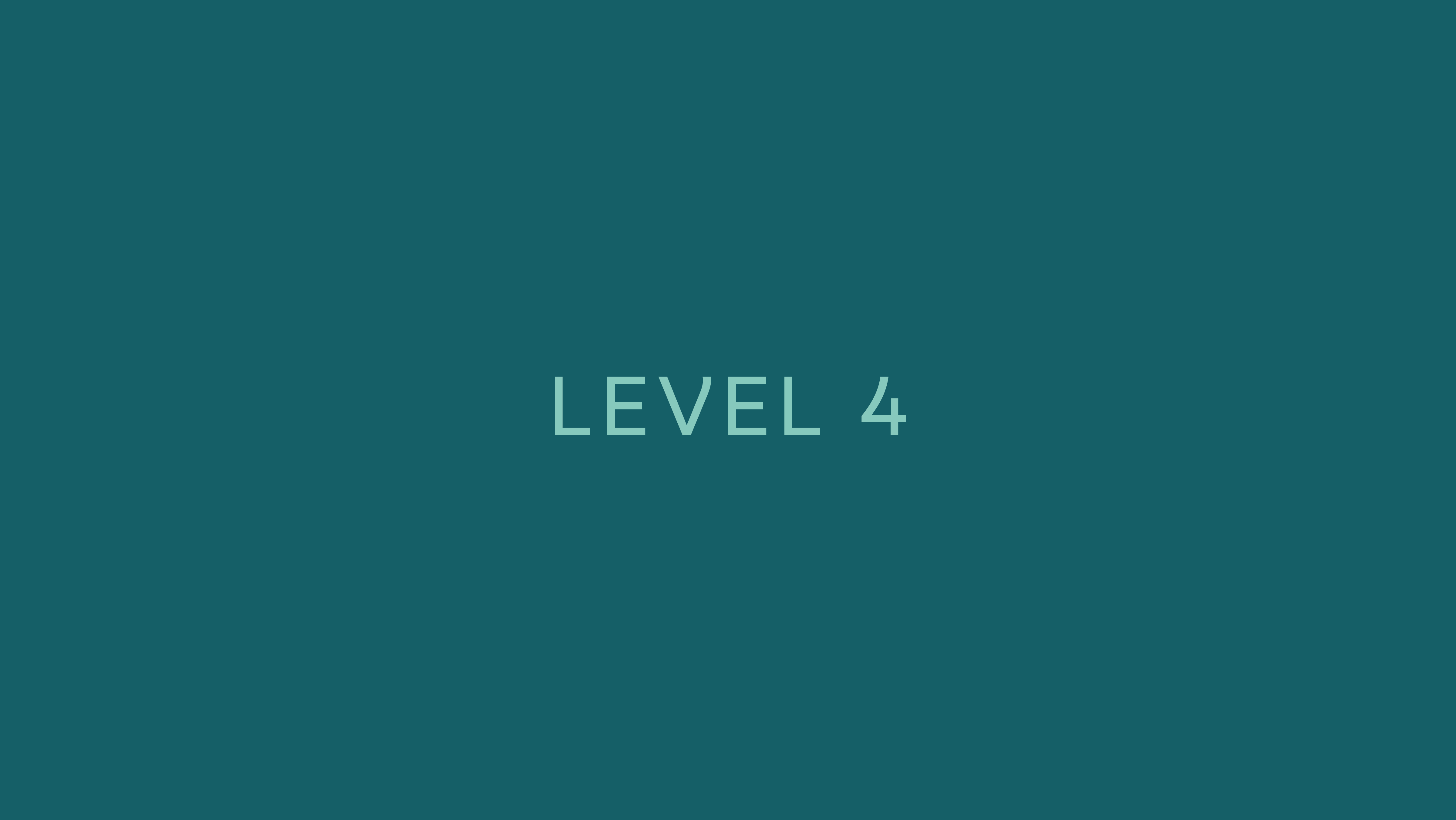 Level 4
