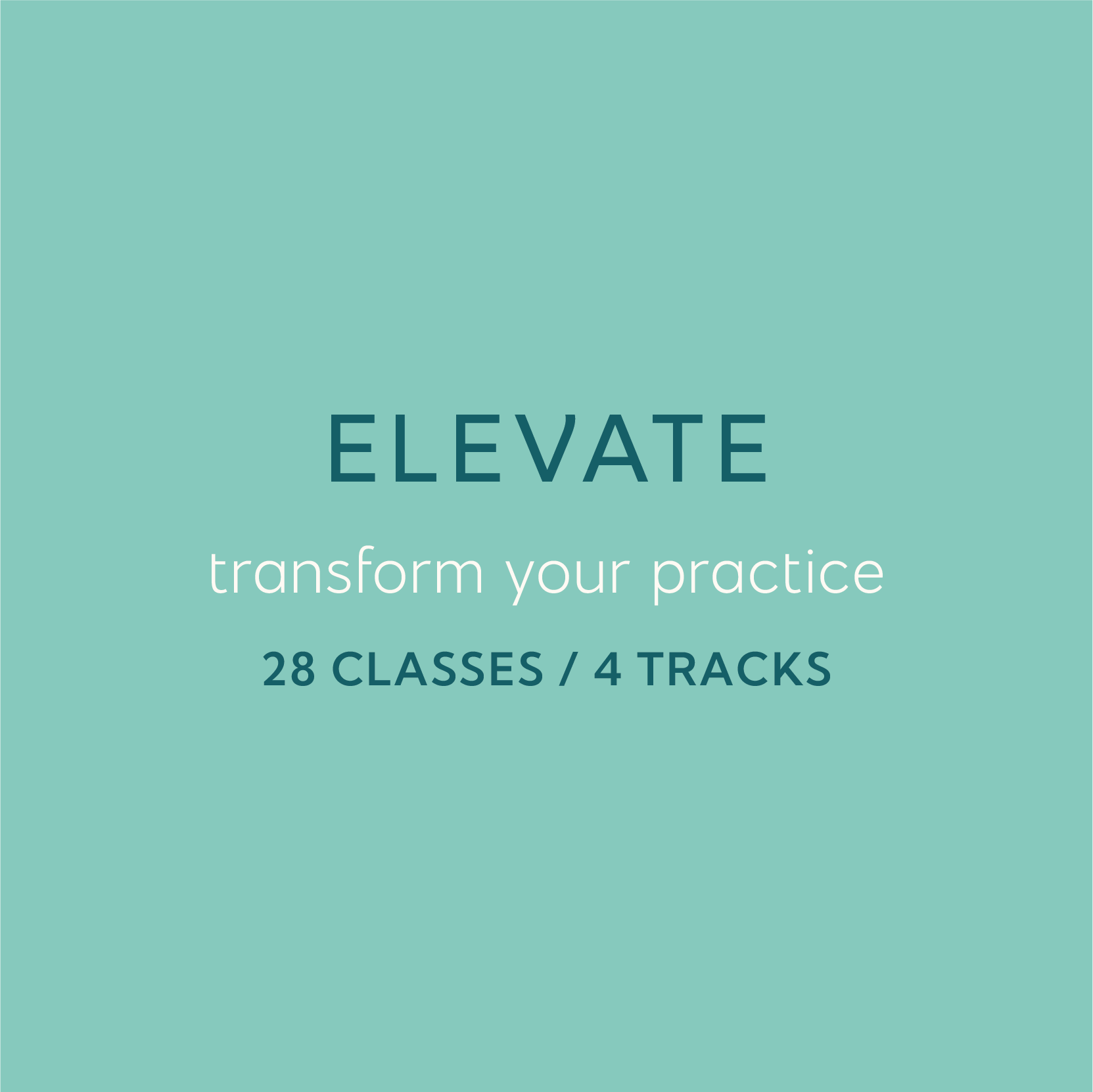 elevate program