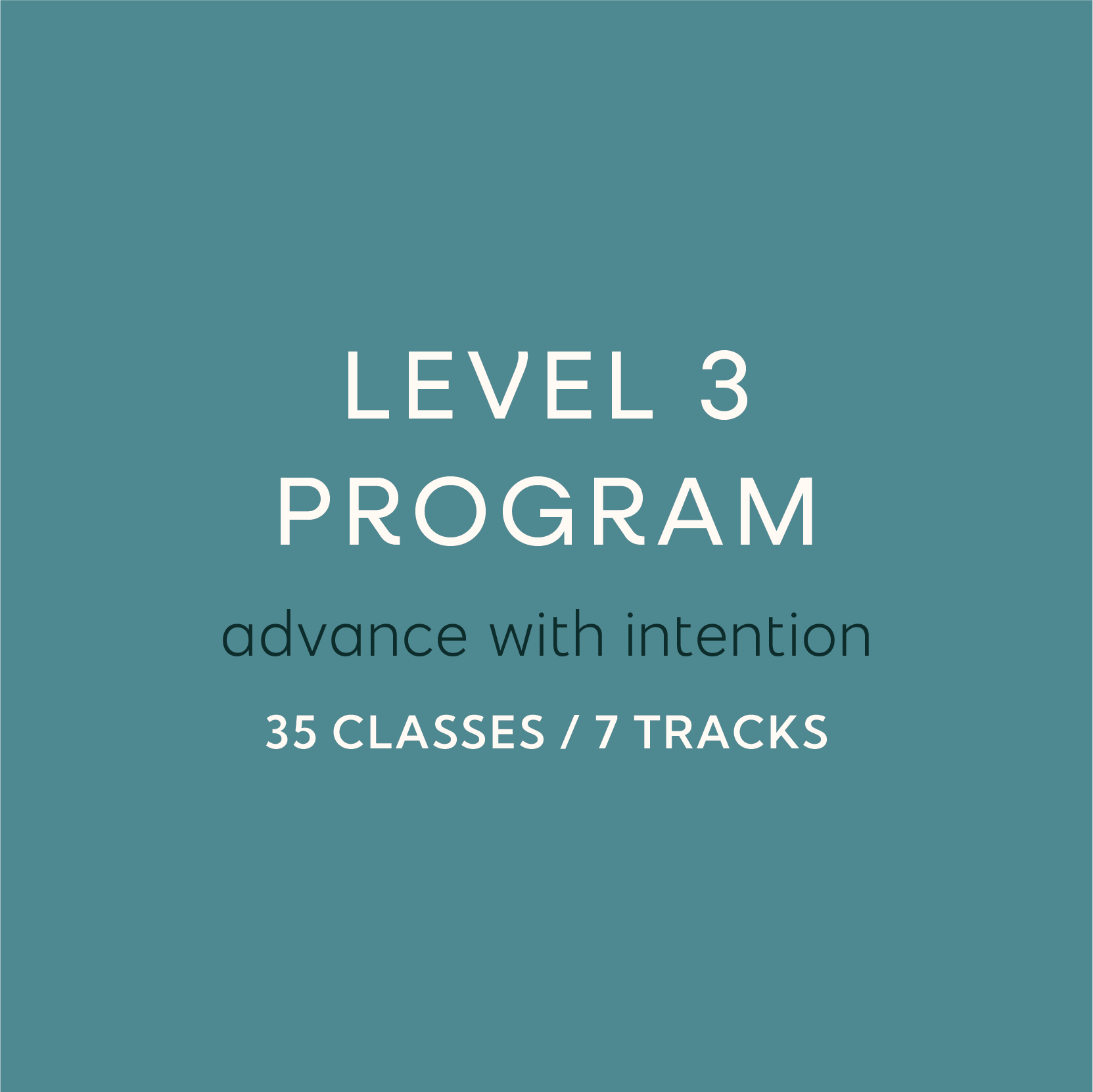 Level 3 Program