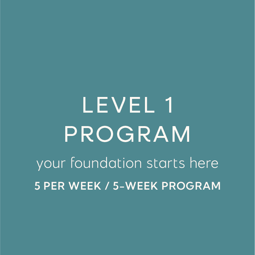 level 1 program