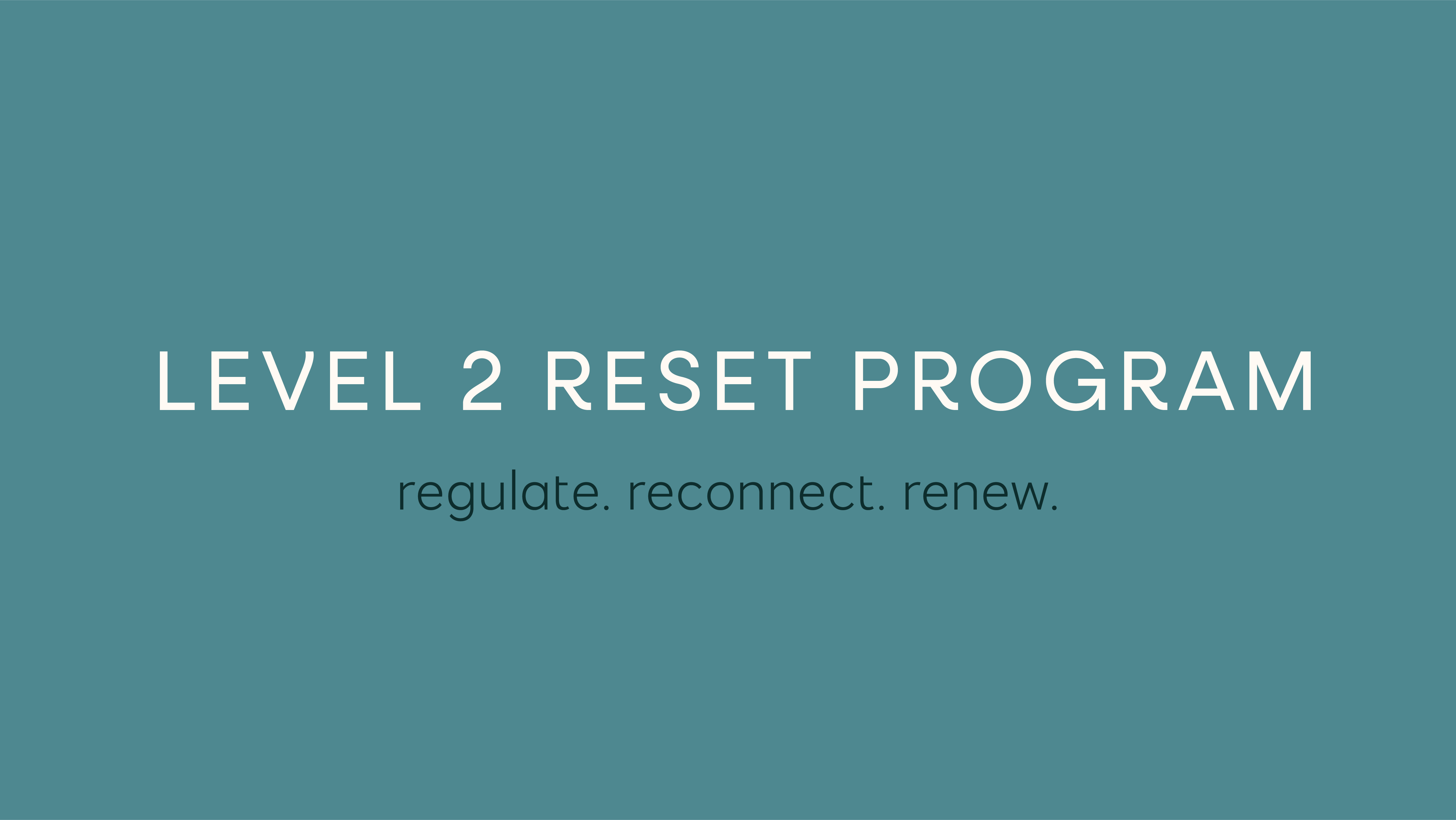 Level 2 Reset Program