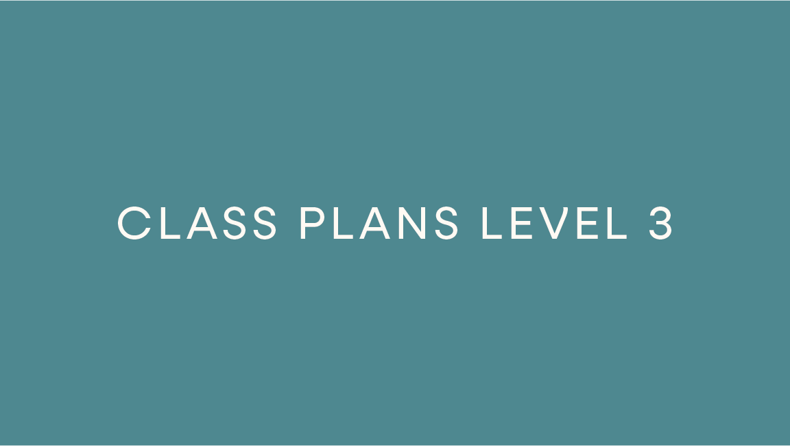 Class Plans Level 3
