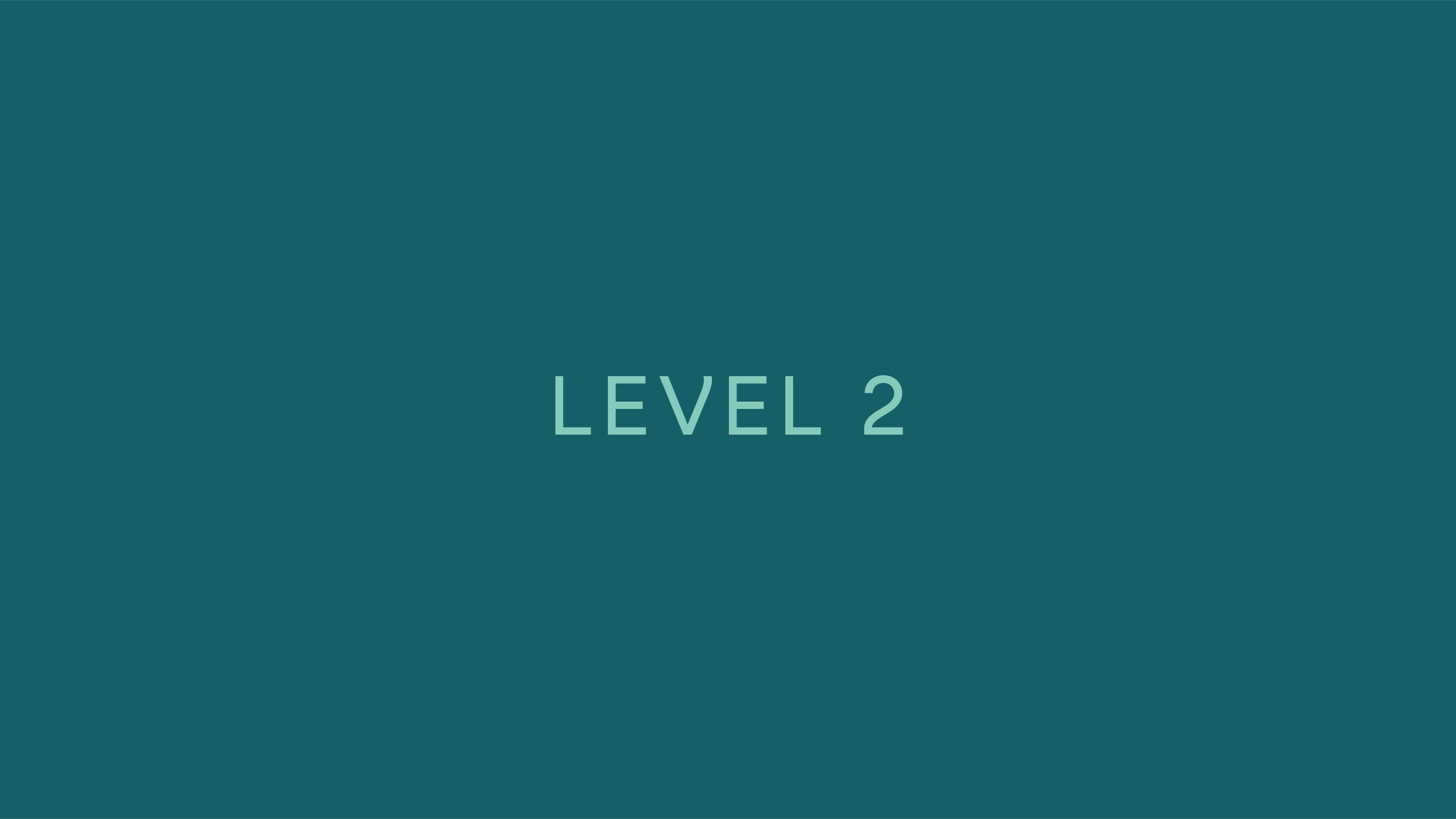 level 2