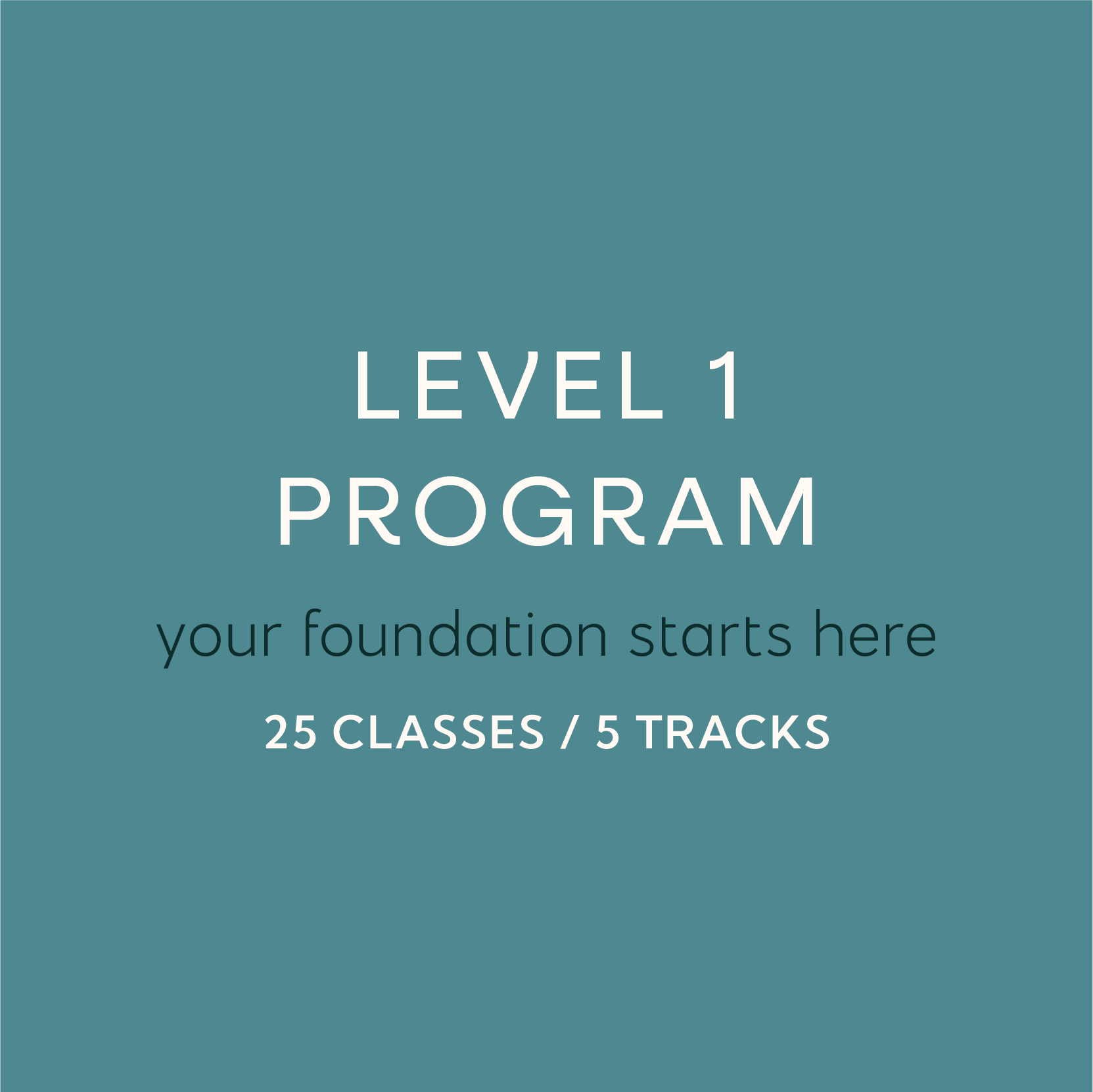 level 1 program
