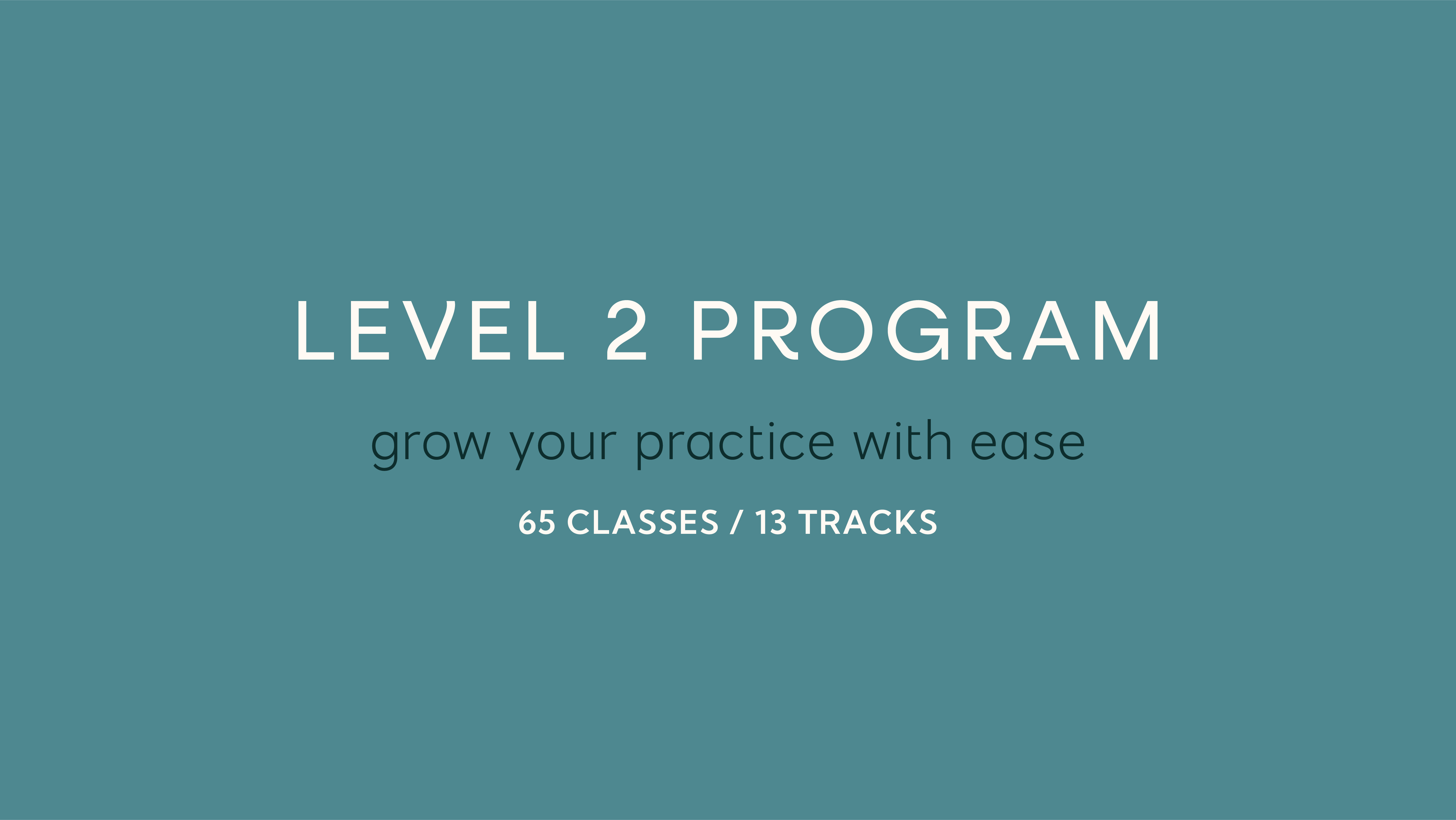 level 2 program
