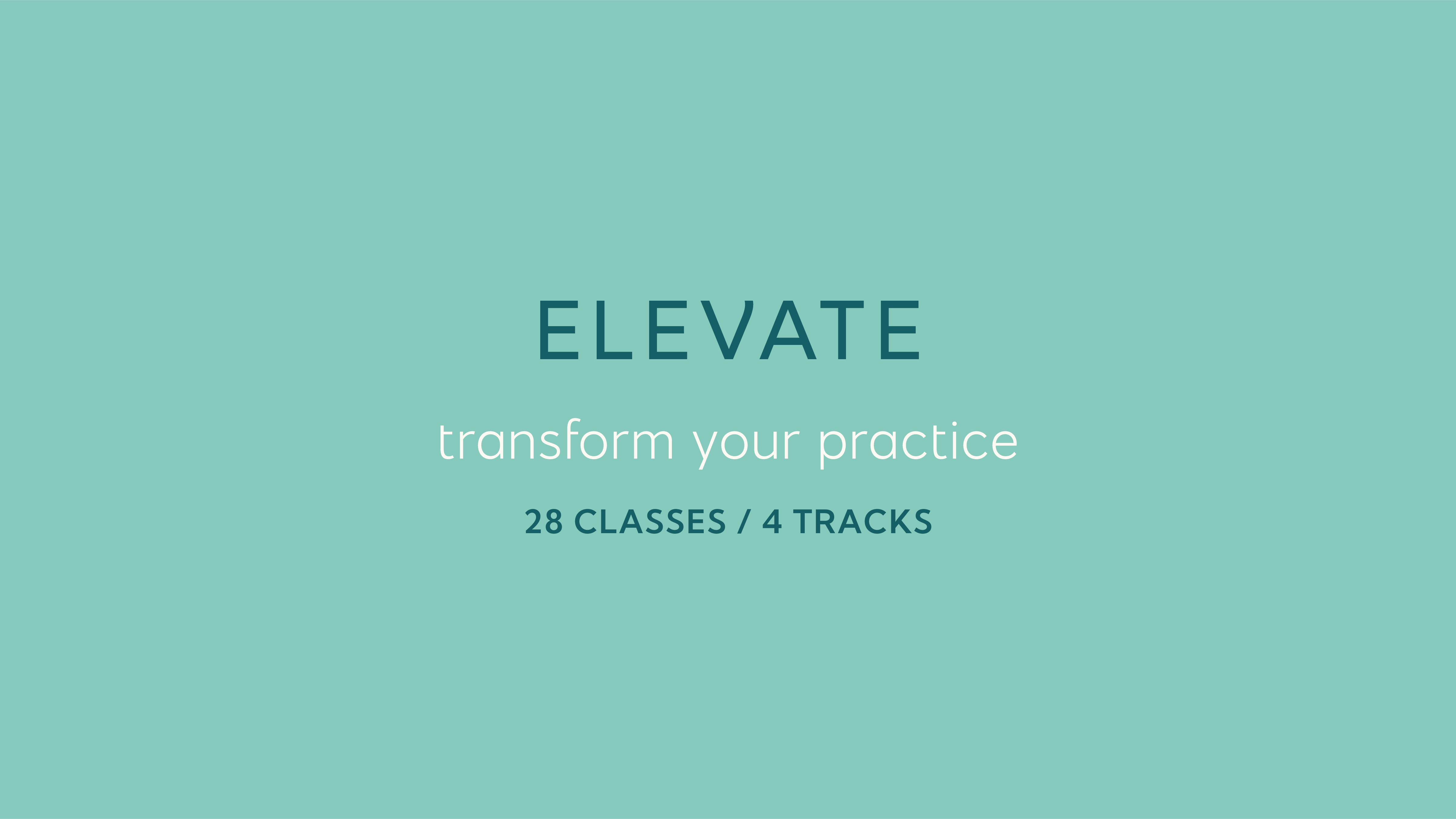 elevate program