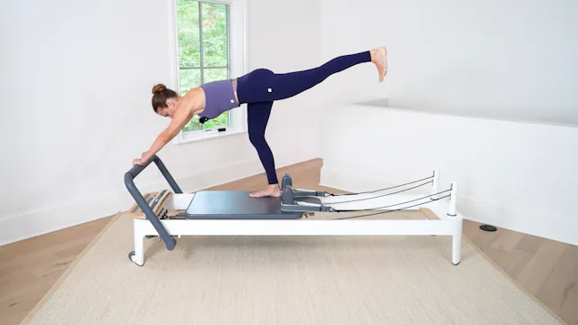Movement Break Elephant #797