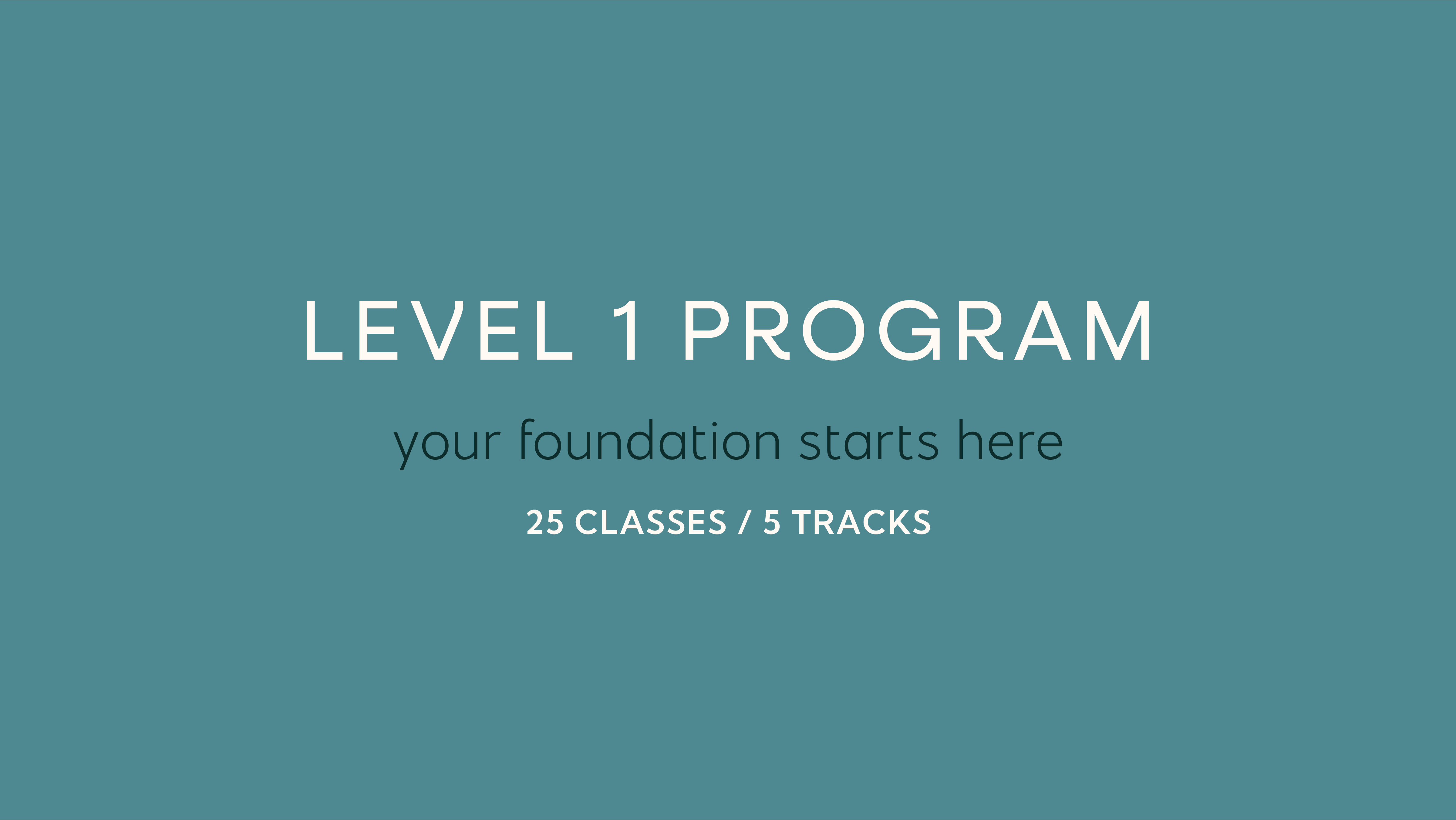 level 1 program