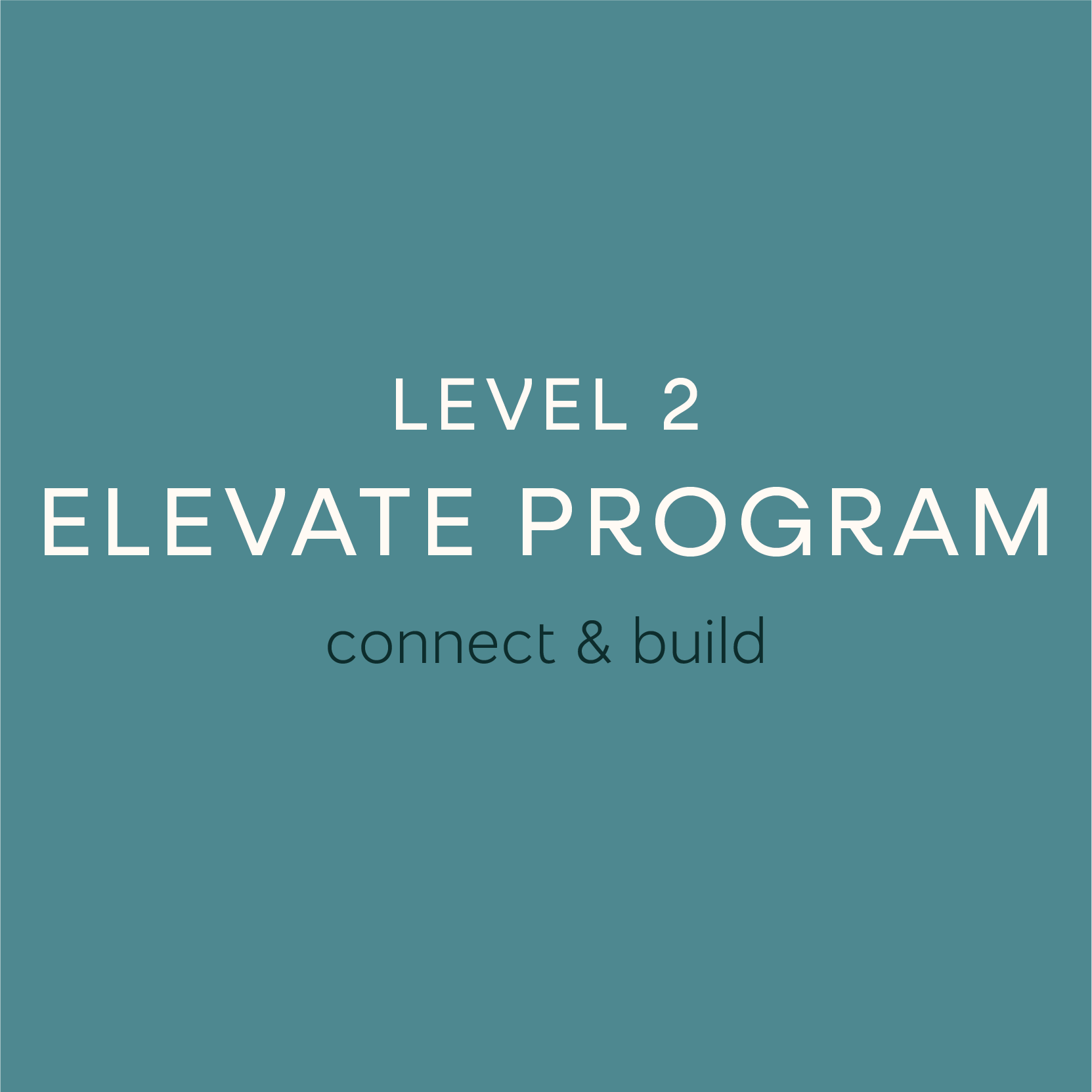 Level 2 Elevate Program
