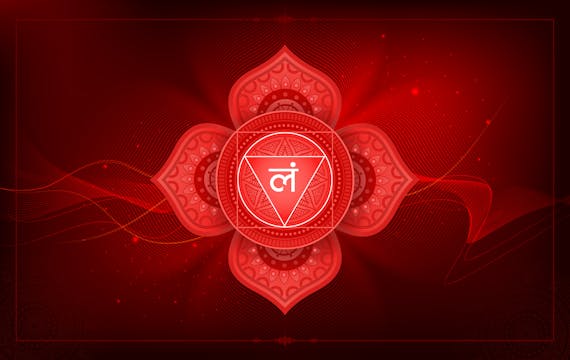 Mooladhara Chakra Location