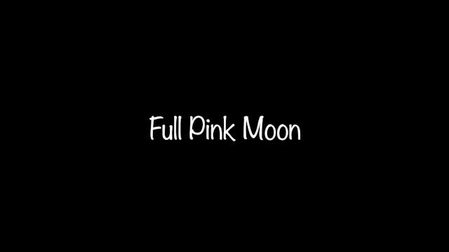 Full Pink Moon April 16 2022